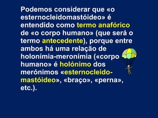 Podemos considerar que «o esternocleidomastóideo» é entendido como  termo anafórico  de «o corpo humano» (que será o termo  antecedente ), porque entre ambos há uma relação de holonímia-meronímia («corpo humano» é  holónimo  dos merónimos « esternocleido-mastóideo », «braço», «perna», etc.). 