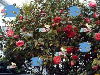 Apresentação para décimo ano de 2014 5, aula 67-68