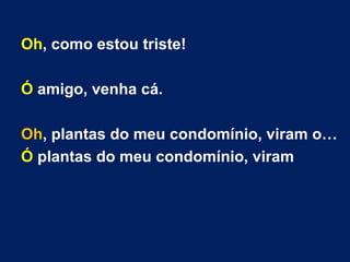 Oh, como estou triste!
Ó amigo, venha cá.
Oh, plantas do meu condomínio, viram o…
Ó plantas do meu condomínio, viram
 