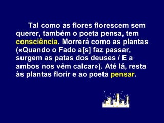   Tal como as flores florescem sem querer, também o poeta pensa, tem  consciência . Morrerá como as plantas («Quando o Fado a[s] faz passar, surgem as patas dos deuses / E a ambos nos vêm calcar»). Até lá, resta às plantas florir e ao poeta  pensar . 