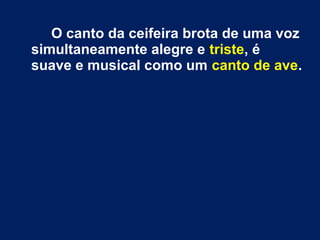 O canto da ceifeira brota de uma voz
simultaneamente alegre e triste, é
suave e musical como um canto de ave.
 
