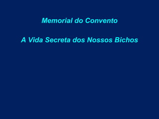 Memorial do Convento
A Vida Secreta dos Nossos Bichos
 