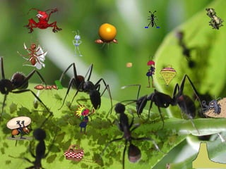 Apresentação para décimo segundo ano de 2016 7, aula 87-88