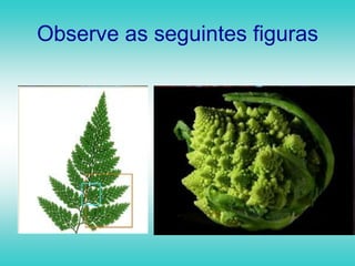 Geometria Euclidiana e Geometria Fractal