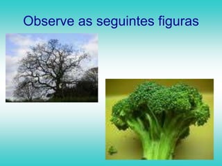 Observe as seguintes figuras