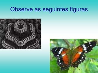 Observe as seguintes figuras