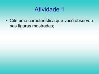 Observe as seguintes figuras