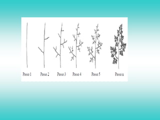 A computação gráfica é uma área que se encontra em franca expansão. O que muita gente não sabe é que algumas das imagens mais belas e complexas são feitas por processos simples que se repetem várias vezes. Veja as etapas de criação do ramo abaixo: