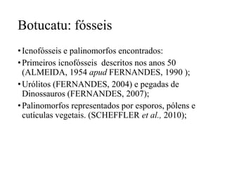Botucatu: fósseis
• Icnofósseis e palinomorfos encontrados:
• Primeiros icnofósseis descritos nos anos 50
(ALMEIDA, 1954 apud FERNANDES, 1990 );
• Urólitos (FERNANDES, 2004) e pegadas de
Dinossauros (FERNANDES, 2007);
• Palinomorfos representados por esporos, pólens e
cutículas vegetais. (SCHEFFLER et al., 2010);

 