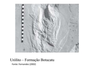 Urólito – Formação Botucatu
Fonte: Fernandes (2002)

 