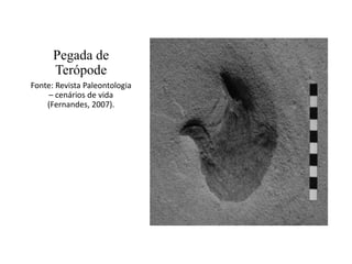 Pegada de
Terópode
Fonte: Revista Paleontologia
– cenários de vida
(Fernandes, 2007).

 