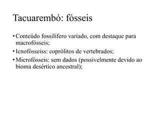 Tacuarembó: fósseis
• Conteúdo fossilífero variado, com destaque para
macrofósseis;
• Icnofósseiss: coprólitos de vertebrados;
• Microfósseis: sem dados (possivelmente devido ao
bioma desértico ancestral);

 
