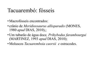 Tacuarembó: fósseis
• Macrofósseis encontrados:
• crânio de Meridiossaurus allisparadis (MONES,
1980 apud DIAS, 2010),;
• Um tubarão de água doce, Prihybodus farambourgui
(MARTINEZ, 1993 apud DIAS, 2010);
• Moluscos Tacuaremboia caorsii e ostracodes.

 