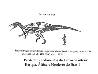 Predador - sedimentos do Cretácea inferior
Europa, África e Nordeste do Brasil

 