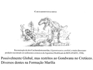 Possivelmente Global, mas restritos ao Gondwana no Cretáceo.
Diversos dentes na Formação Marília

 