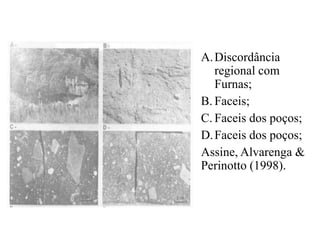 A. Discordância
regional com
Furnas;
B. Faceis;
C. Faceis dos poços;
D. Faceis dos poços;
Assine, Alvarenga &
Perinotto (1998).

 