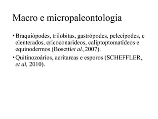 Macro e micropaleontologia
• Braquiópodes, trilobitas, gastrópodes, pelecípodes, c
elenterados, cricoconarideos, caliptoptomatideos e
equinodermos (Bosettiet al.,2007).
• Quitinozoários, acritarcas e esporos (SCHEFFLER,.
et al, 2010).

 