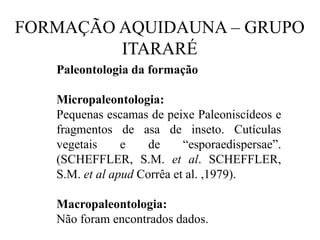 FORMAÇÃO AQUIDAUNA – GRUPO
ITARARÉ
Paleontologia da formação
Micropaleontologia:
Pequenas escamas de peixe Paleoniscídeos e
fragmentos de asa de inseto. Cutículas
vegetais
e
de
“esporaedispersae”.
(SCHEFFLER, S.M. et al. SCHEFFLER,
S.M. et al apud Corrêa et al. ,1979).
Macropaleontologia:
Não foram encontrados dados.

 