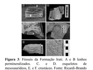 Figura 3: Fósseis da Formação Irati. A e B lenhos
permineralizados.
C.
e
D.
esqueletos
de
mesosaurideos, E. e F. crustáceo. Fonte: Ricardi-Brando

 