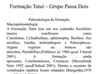 Formação Tatuí – Grupo Passa Dois
Paleontologia da formação
Macropaleontologia:
A Formação Tatuí tem em seu conteúdo fossilifero
muitos
icnofósseis
como
Conishinus, Cylindrichnus, ophimorpha, Skolitos, Are
nicolites, Gardia, helminthopsis e Paleeophicus.
Alguns
vegetais
ou
troncos
são
descritos, Pteridófitas.(Fúlfaroet al. 1984 apud. Charud
2001).
A
formação
ainda
apresenta, Conchostráceos, Crustaceo (Mezzalira&
Neto 1992 apudChahud 2001). Dentes e escamas de
vertebrados também foram relatados (Rangonha,1978

 