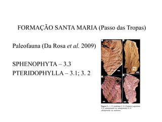 FORMAÇÃO SANTA MARIA (Passo das Tropas)
Paleofauna (Da Rosa et al. 2009)
SPHENOPHYTA – 3.3
PTERIDOPHYLLA – 3.1; 3. 2

 