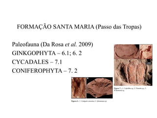 FORMAÇÃO SANTA MARIA (Passo das Tropas)
Paleofauna (Da Rosa et al. 2009)
GINKGOPHYTA – 6.1; 6. 2
CYCADALES – 7.1
CONIFEROPHYTA – 7. 2

 