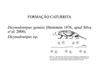 FORMAÇÃO CATURRITA
Dicynodontipus geinitzi (Hornstein 1876, apud Silva
et al. 2008).
Dicynodontipus isp.

 