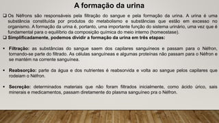 A formação da urina
 Os Néfrons são responsáveis pela filtração do sangue e pela formação da urina. A urina é uma
substância constituída por produtos do metabolismo e substâncias que estão em excesso no
organismo. A formação da urina é, portanto, uma importante função do sistema urinário, uma vez que é
fundamental para o equilíbrio da composição química do meio interno (homeostase).
 Simplificadamente, podemos dividir a formação da urina em três etapas:
 Filtração: as substâncias do sangue saem dos capilares sanguíneos e passam para o Néfron,
tornando-se parte do filtrado. As células sanguíneas e algumas proteínas não passam para o Néfron e
se mantém na corrente sanguínea.
 Reabsorção: parte da água e dos nutrientes é reabsorvida e volta ao sangue pelos capilares que
rodeiam o Néfron.
 Secreção: determinados materiais que não foram filtrados inicialmente, como ácido úrico, sais
minerais e medicamentos, passam diretamente do plasma sanguíneo pra o Néfron.
 