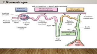  Observe a imagem:
 