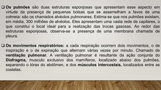  Os pulmões são duas estruturas esponjosas que apresentam esse aspecto em
virtude da presença de pequenas bolsas que se assemelham a favos de uma
colmeia: são os chamados alvéolos pulmonares. Estima-se que nos pulmões existam,
em média, 300 milhões de alvéolos. Eles apresentam uma vasta rede de capilares, o
que constitui o local ideal para a realização das trocas gasosas. Ao redor das
estruturas esponjosas, observa-se a presença de uma membrana chamada de
pleura.
 Os movimentos respiratórios: a cada respiração ocorrem dois movimentos, o de
inspiração e o de expiração que alternam várias vezes por minuto. Chamado de
ventilação pulmonar. A ventilação pulmonar é resultante da ação conjunta do
Diafragma, musculo exclusivo dos mamíferos, localizado abaixo dos pulmões,
separando o tórax do abdômen, e dos músculos intercostais, localizados entre as
costelas.
 