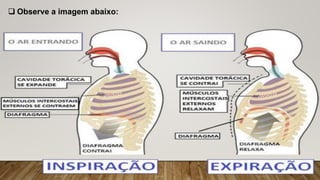  Observe a imagem abaixo:
 