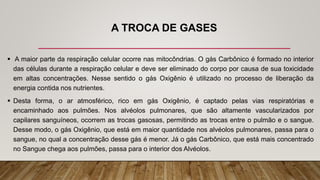 A TROCA DE GASES
 A maior parte da respiração celular ocorre nas mitocôndrias. O gás Carbônico é formado no interior
das células durante a respiração celular e deve ser eliminado do corpo por causa de sua toxicidade
em altas concentrações. Nesse sentido o gás Oxigênio é utilizado no processo de liberação da
energia contida nos nutrientes.
 Desta forma, o ar atmosférico, rico em gás Oxigênio, é captado pelas vias respiratórias e
encaminhado aos pulmões. Nos alvéolos pulmonares, que são altamente vascularizados por
capilares sanguíneos, ocorrem as trocas gasosas, permitindo as trocas entre o pulmão e o sangue.
Desse modo, o gás Oxigênio, que está em maior quantidade nos alvéolos pulmonares, passa para o
sangue, no qual a concentração desse gás é menor. Já o gás Carbônico, que está mais concentrado
no Sangue chega aos pulmões, passa para o interior dos Alvéolos.
 