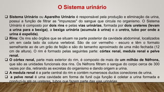 O Sistema urinário
 Sistema Urinário ou Aparelho Urinário é responsável pela produção e eliminação da urina,
possui a função de filtrar as "impurezas" do sangue que circula no organismo. O Sistema
Urinário é composto por dois rins e pelas vias urinárias, formada por dois ureteres (levam
a urina para a bexiga), a bexiga urinária (acumula à urina) e a uretra, tubo por onde a
urina é expelida).
 Rins: Os rins são órgãos que se situam na parte posterior da cavidade abdominal, localizados
um em cada lado da coluna vertebral. São de cor vermelho - escuro e têm o formato
semelhante ao de um grão de feijão e são do tamanho aproximado de uma mão fechada (12
cm de altura). O rim é formado pelas seguintes parte: córtex renal, medula renal e pelve
renal.
 O córtex renal, parte mais exterior do rim, é composto de mais de um milhão de Néfrons,
que são as unidades funcionais dos rins. Os Néfrons filtram o sangue do corpo cerca de 300
vezes por dia, retirando as excretas do organismo e dando origem a urina.
 A medula renal é a parte central do rim e contém numerosos ductos conectores de urina.
 a pelve renal é uma cavidade em forma de funil cuja função é coletar a urina formada e
conduzi-la até os ureteres, tubos que fazem parte das vias urinárias.
 