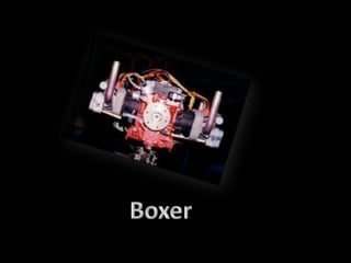 Boxer