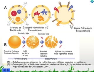Grânulo de 
Fertilizante 
Ligante Polimérico de 
Encapsulamento 
0191 
Ligante Polimérico de 
Encapsulamento 
A 
Radiação Solar 
Grânulo de Fertilizante 
Totalmente Revestido 
Ação 
Mecânica 
no solo 
Radiação Solar 
Pressões 
Mecânicas 
no Cultivo 
Ação decompositora de 
micro-organismos do solo 
FOTODEGRADAÇÃO BIODEGRADAÇÃO 
(A) Detalhamento dos sistemas de nutrientes com múltiplas espécies revestidas, e 
(B) Decomposição de fertilizante revestido: modelo de Liberação de espécies nutrientes, 
Figura adaptada de Chissoasahi, 2007). 
B 
 