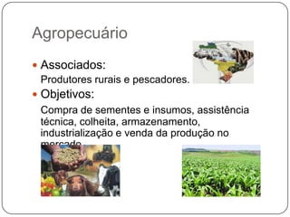 Agropecuário
 Associados:
  Produtores rurais e pescadores.
 Objetivos:
 Compra de sementes e insumos, assistência
 técnica, colheita, armazenamento,
 industrialização e venda da produção no
 mercado.
 