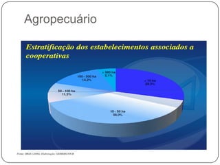 Agropecuário
 