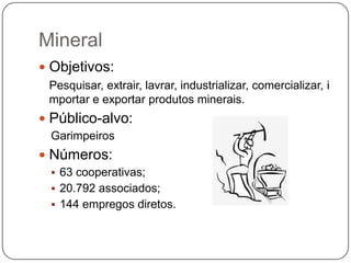 Mineral
 Objetivos:
 Pesquisar, extrair, lavrar, industrializar, comercializar, i
 mportar e exportar produtos minerais.
 Público-alvo:
 Garimpeiros
 Números:
  63 cooperativas;
  20.792 associados;
  144 empregos diretos.
 