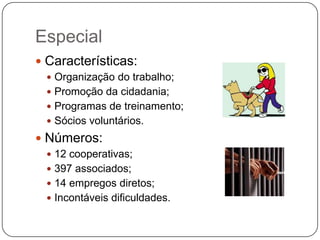 Especial
 Características:
  Organização do trabalho;
  Promoção da cidadania;
  Programas de treinamento;
  Sócios voluntários.
 Números:
  12 cooperativas;
  397 associados;
  14 empregos diretos;
  Incontáveis dificuldades.
 