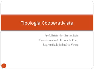 Tipologia Cooperativista

                Prof. Brício dos Santos Reis
            Departamento de Economia Rural
              Universidade Federal de Viçosa




1
 