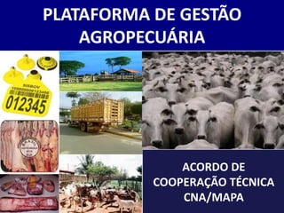 PLATAFORMA DE GESTÃO
    AGROPECUÁRIA




               ACORDO DE
           COOPERAÇÃO TÉCNICA
               CNA/MAPA
 