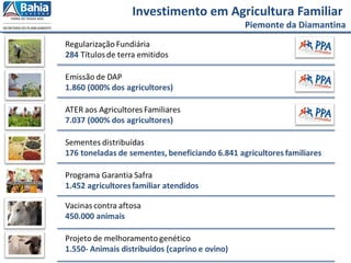 Investimento em Agricultura Familiar
Piemonte da Diamantina
 