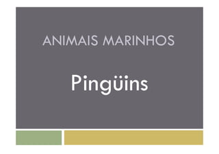 ANIMAIS MARINHOS

   Pingüins
 