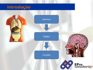 IntroduçãoSistemasOrgãosFunções