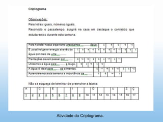 Atividade do Criptograma.
 