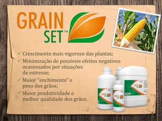  Crescimento mais vigoroso das plantas;
 Minimização de possíveis efeitos negativos
ocasionados por situações
de estresse;
 Maior “enchimento” e
peso dos grãos;
 Maior produtividade e
melhor qualidade dos grãos.
 