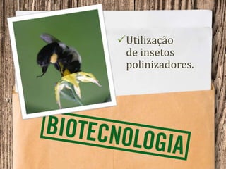 Utilização
de insetos
polinizadores.
 
