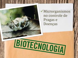 Microrganismos
no controle de
Pragas e
Doenças
 