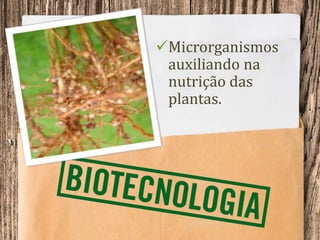 Microrganismos
auxiliando na
nutrição das
plantas.
 