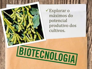 Explorar o
máximos do
potencial
produtivo dos
cultivos.
 